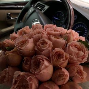 Meet your Posher, Ayan